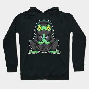 Frog as Ninja in black Hoodie